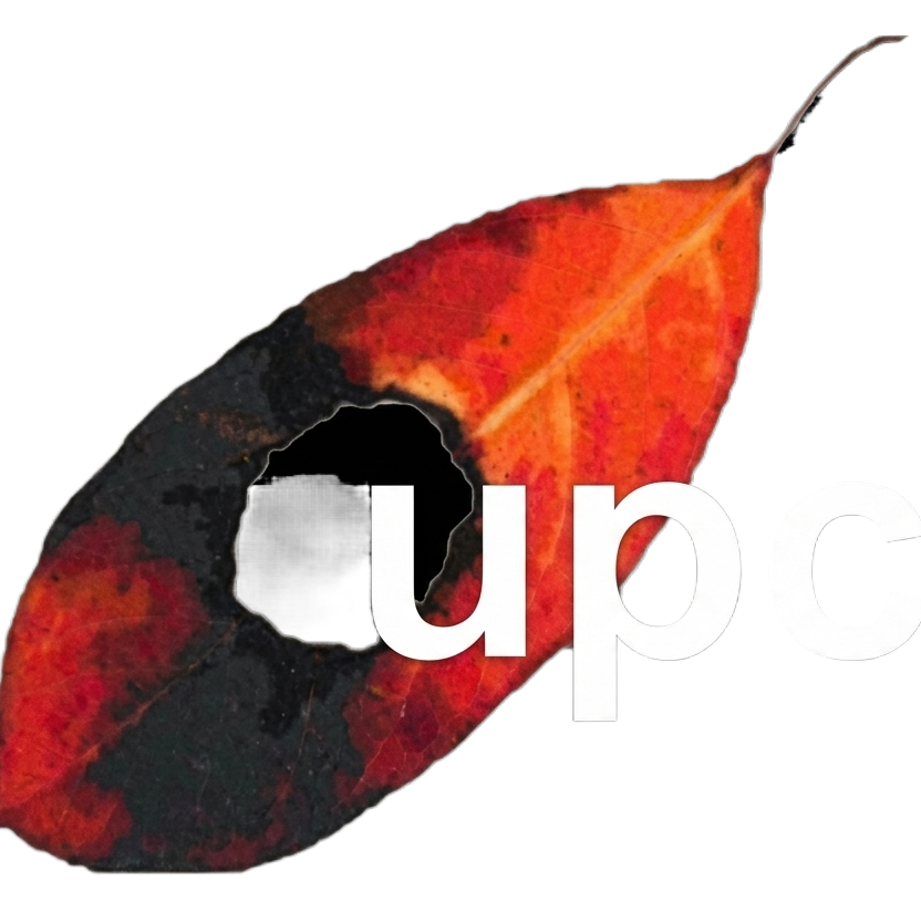 Urban Poor Consortium